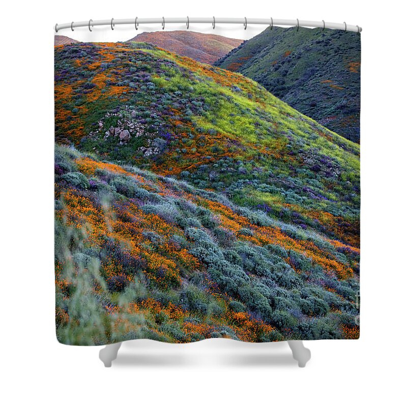 Superbloom Shower Curtain featuring the photograph Spring Superbloom by Erin Marie Davis