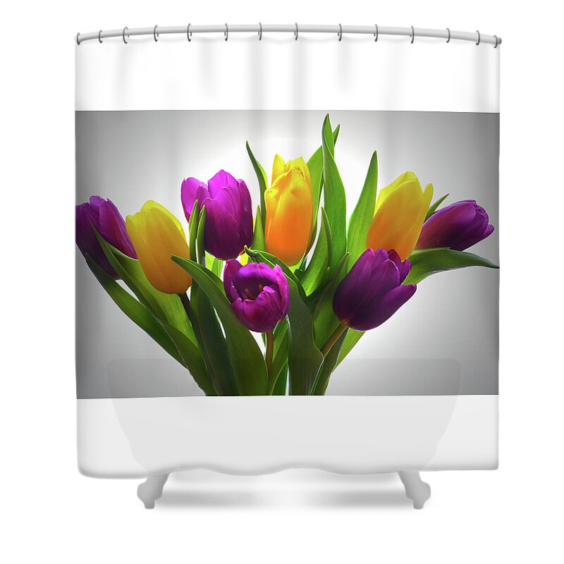 Tulips Shower Curtain featuring the photograph Spring Tulips by Terence Davis