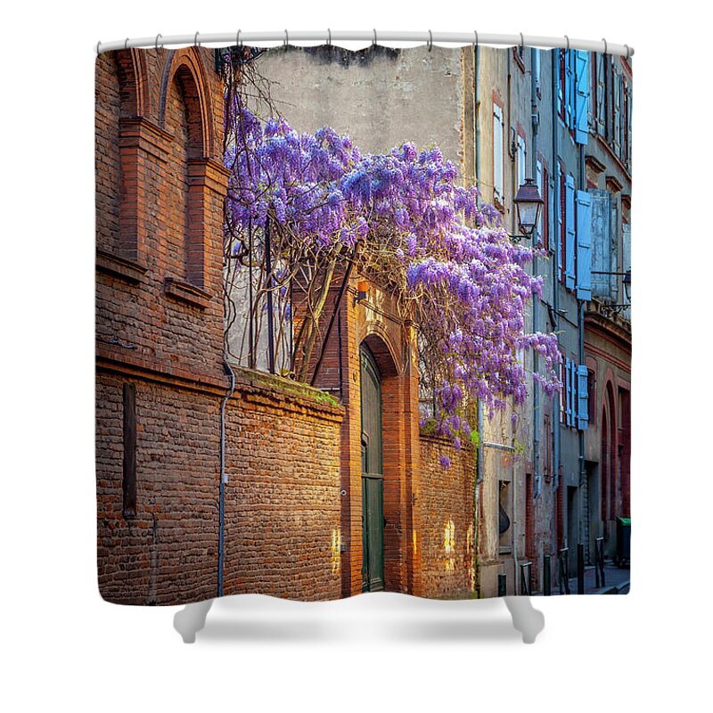 Spring Shower Curtain featuring the photograph Spring Wisteria in Toulouse by W Chris Fooshee