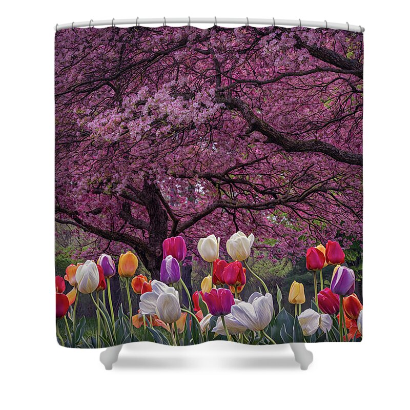 Tulips Shower Curtain featuring the photograph Spring's Bounty by Arthur Oleary