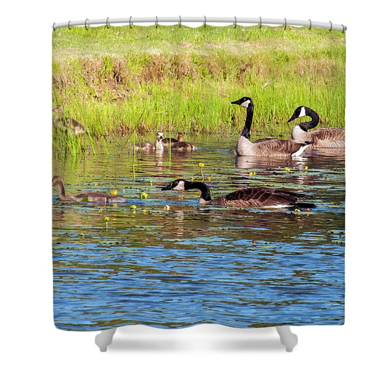 Geese Shower Curtain featuring the photograph Springtime At The Pond by Cathy Kovarik