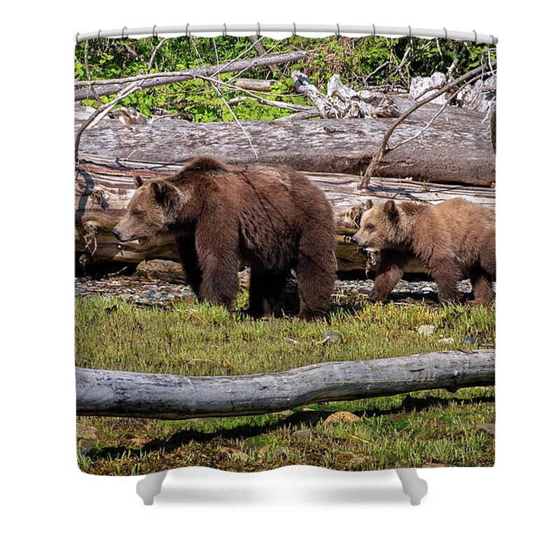 Springtime Grizzly Bears Shower Curtain featuring the photograph Springtime Grizzly Bears by Jordan Blackstone