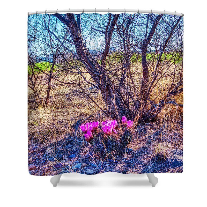 Springtine Shower Curtain featuring the photograph Springtime in Arizona by Tatiana Travelways