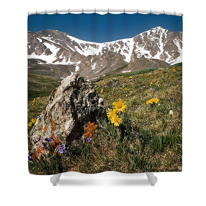 Colorado Shower Curtain featuring the photograph Springtime in the Rockies by Joe Bonita