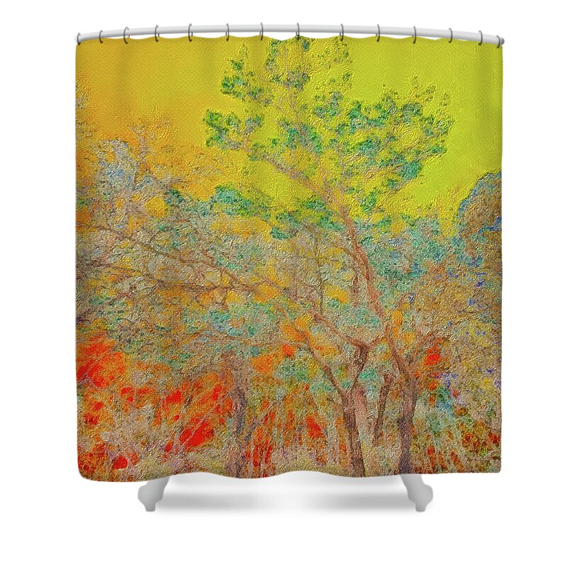 Spring Colors Shower Curtain featuring the digital art Springtime Sunset by Kevin Lane