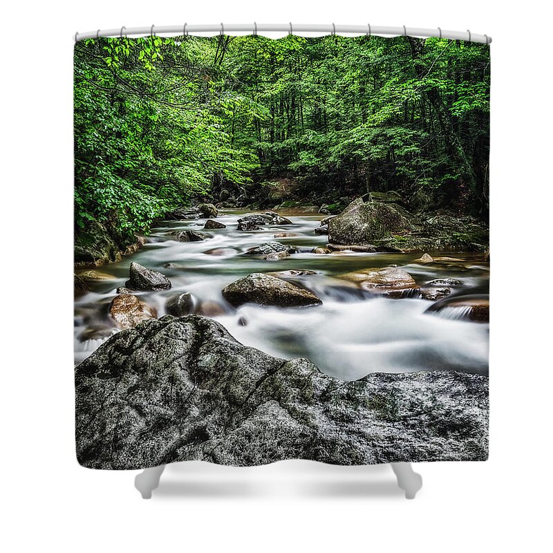 Basin Trail Nh Shower Curtain featuring the photograph Springtime,Basin Trail NH by Michael Hubley