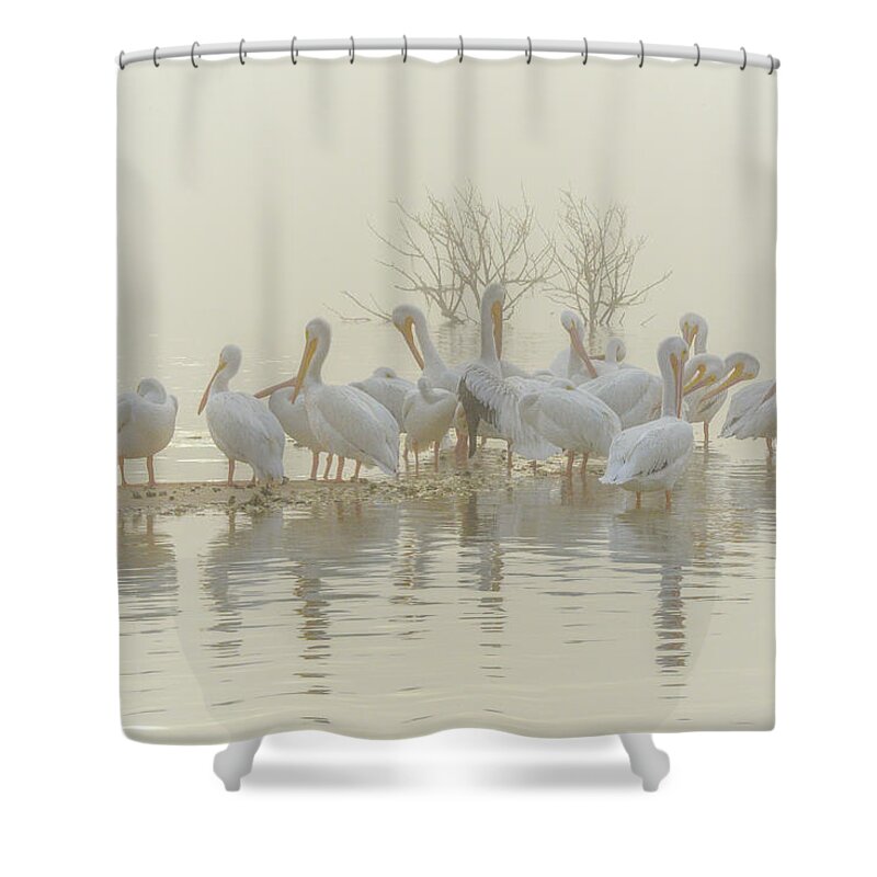 White Shower Curtain featuring the photograph Squadron in the Fog by Christopher Rice