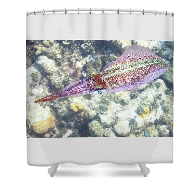Squid Shower Curtain featuring the photograph Squid Pro Quo by Lynne Browne