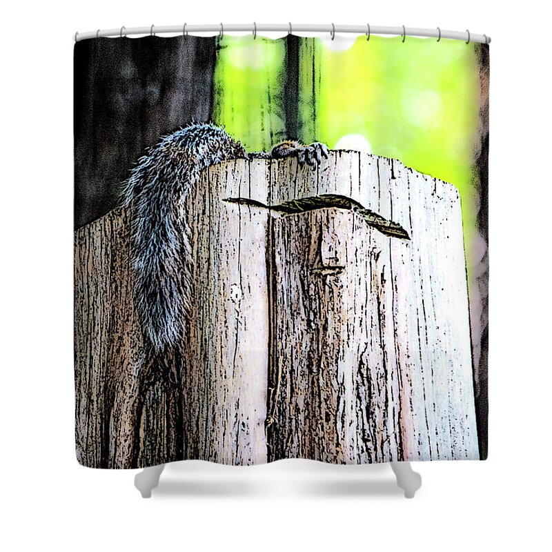 Charlotte-park Shower Curtain featuring the digital art Squirrel at the Lake by SnapHappy Photos