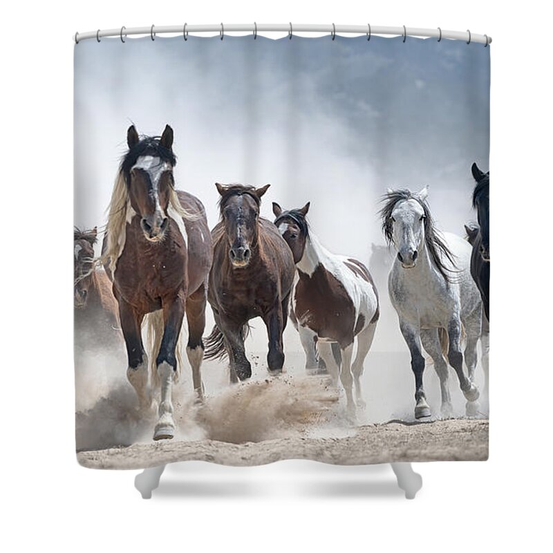 Stallion Shower Curtain featuring the photograph Stampede. by Paul Martin