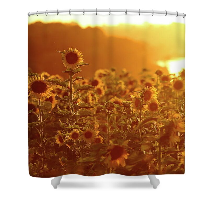 Summer Shower Curtain featuring the photograph Stand Above The Crowd by Lens Art Photography By Larry Trager