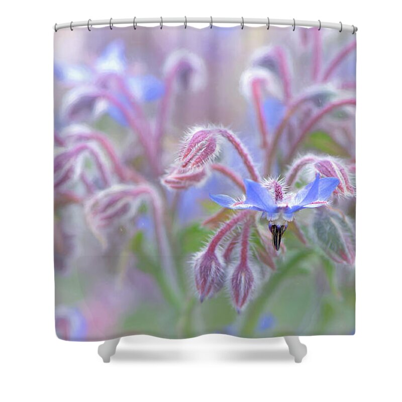 Macro Shower Curtain featuring the photograph Stand Out by Laura Macky