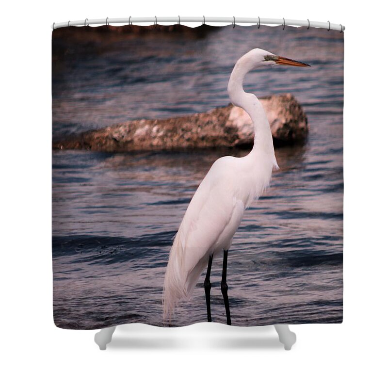 Egret Shower Curtain featuring the photograph Standing Tall by Christopher James