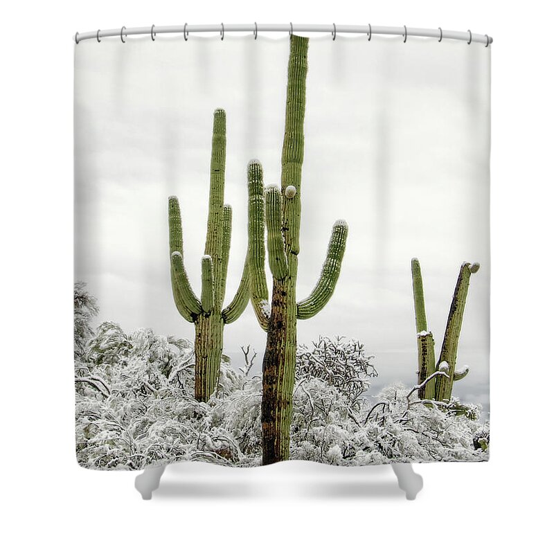 Cactus Shower Curtain featuring the photograph Standing Tall by Elaine Malott