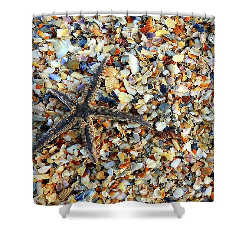 Starfish Shower Curtain featuring the photograph Starfish on the Beach by Rod Seel