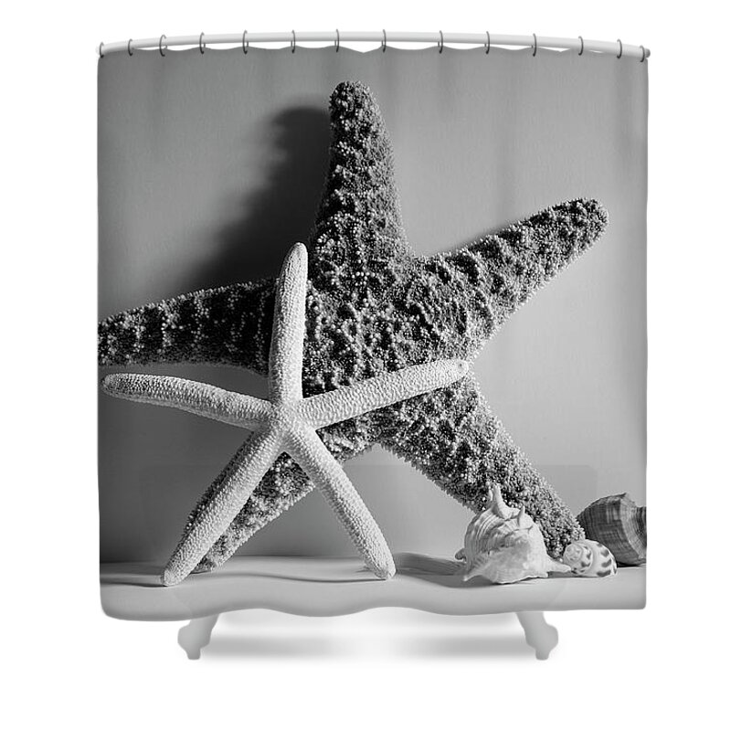 Starfishes Shower Curtain featuring the photograph Starfishes and Seashells 2 by Angie Tirado