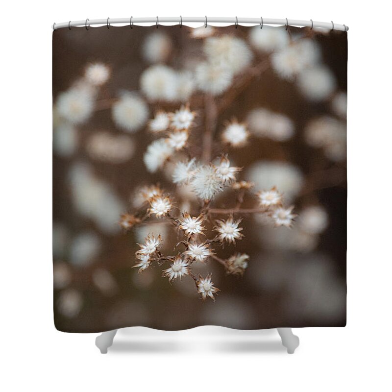 Plant Shower Curtain featuring the photograph Starlight Winter White by Linda Bonaccorsi