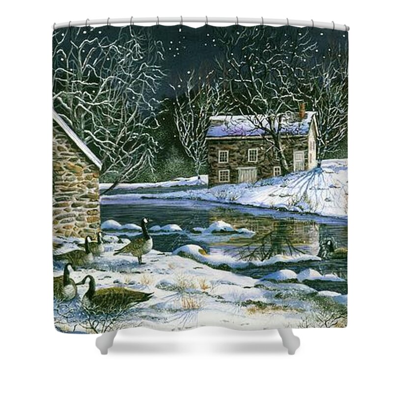 Winter Shower Curtain featuring the painting Starry Night Visitors by Diane Phalen