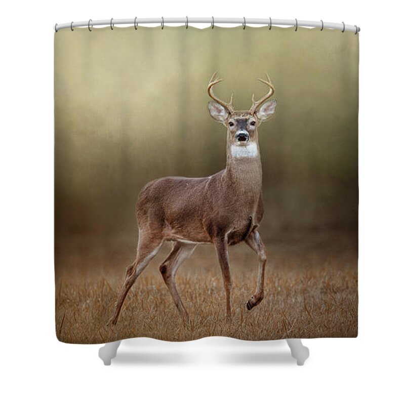 Deer Shower Curtain featuring the photograph Stepping Out by Jai Johnson