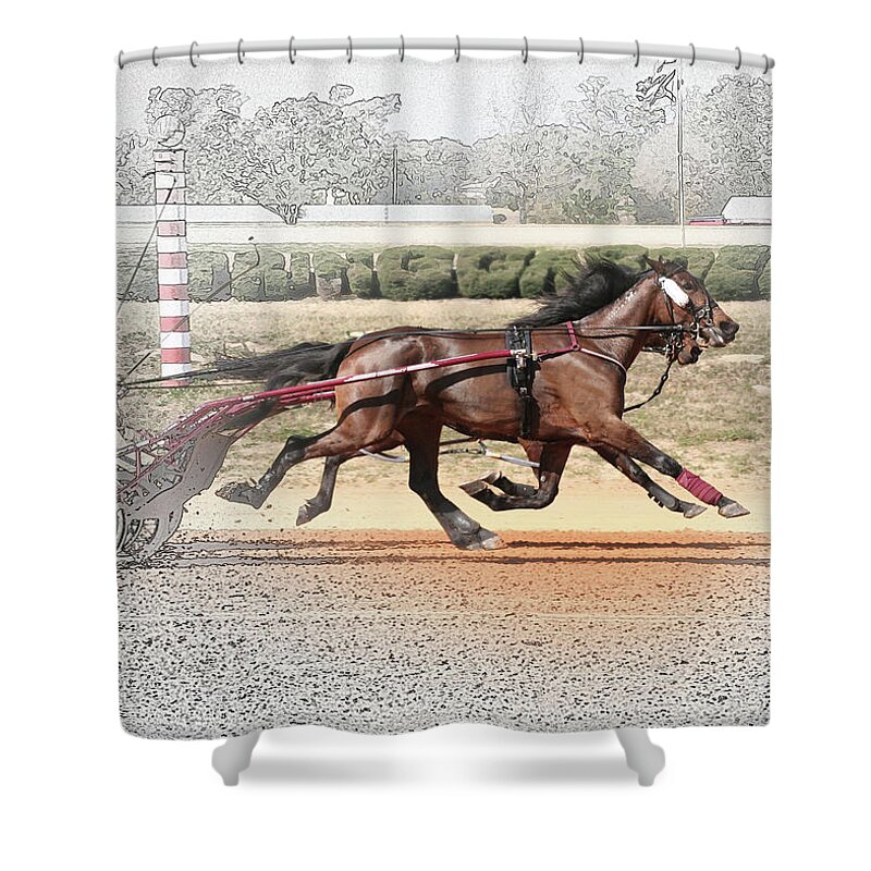 Horses Shower Curtain featuring the photograph Stepping Out by M Kathleen Warren