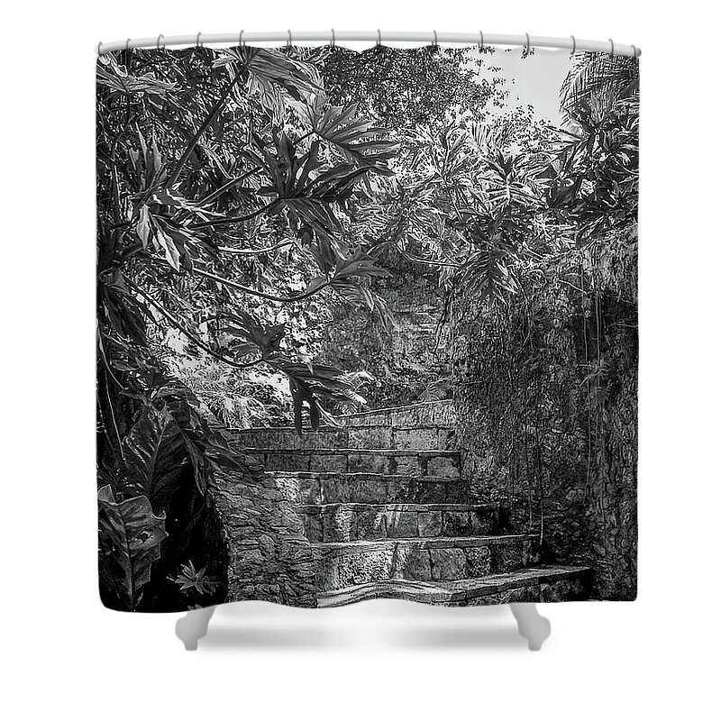 Chichen Itza Shower Curtain featuring the photograph Steps Near Cenote Chichen Itza by Frank Mari