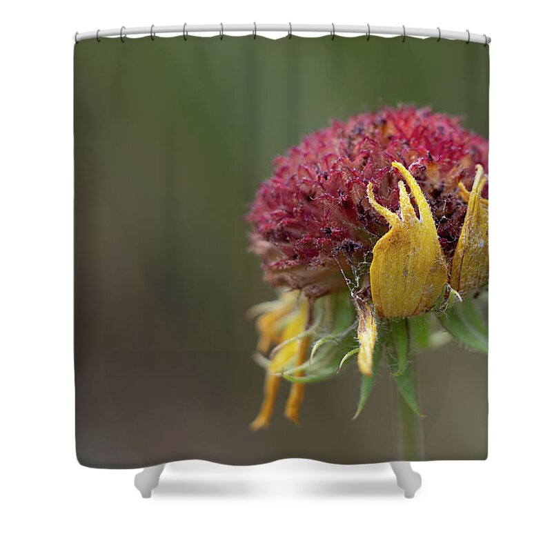 Flower Shower Curtain featuring the photograph Still Beautiful by Mary Hone