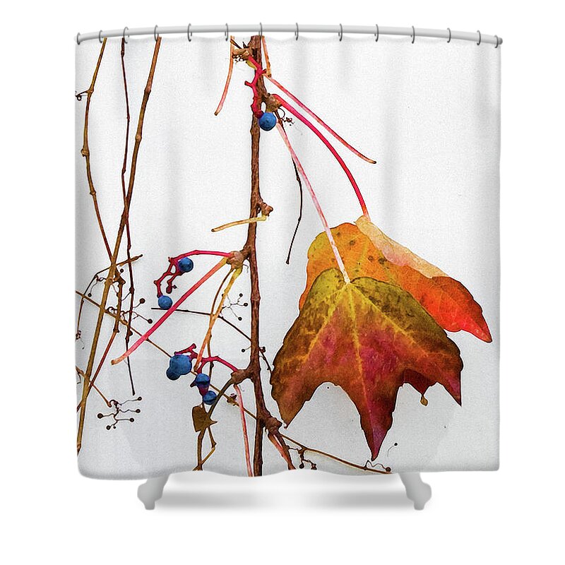 Photography Shower Curtain featuring the photograph Still Hanging by Marc Nader