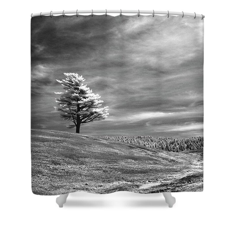 Infra Red Shower Curtain featuring the photograph Still Standing by Alan Norsworthy