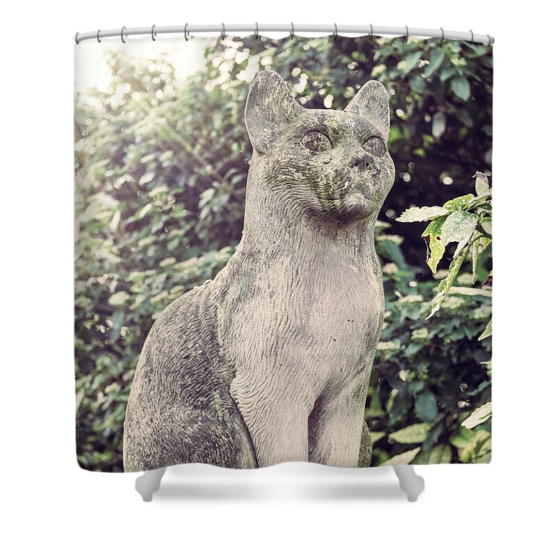 Cat Shower Curtain featuring the photograph Stone cat by Delphimages Photo Creations