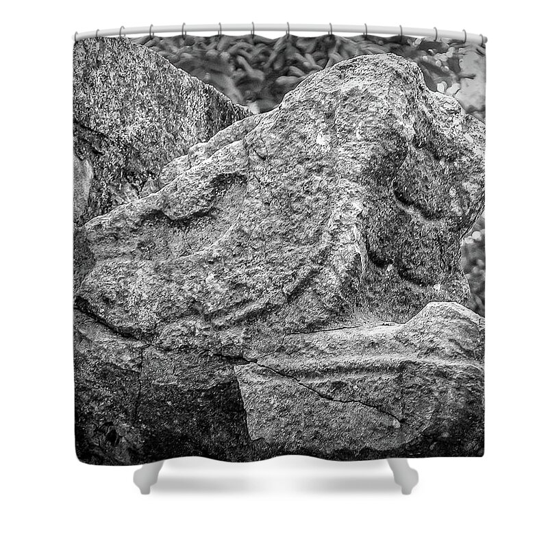 Chichen Itza Shower Curtain featuring the photograph Stone Snakehead Carving - Chichen Itza by Frank Mari
