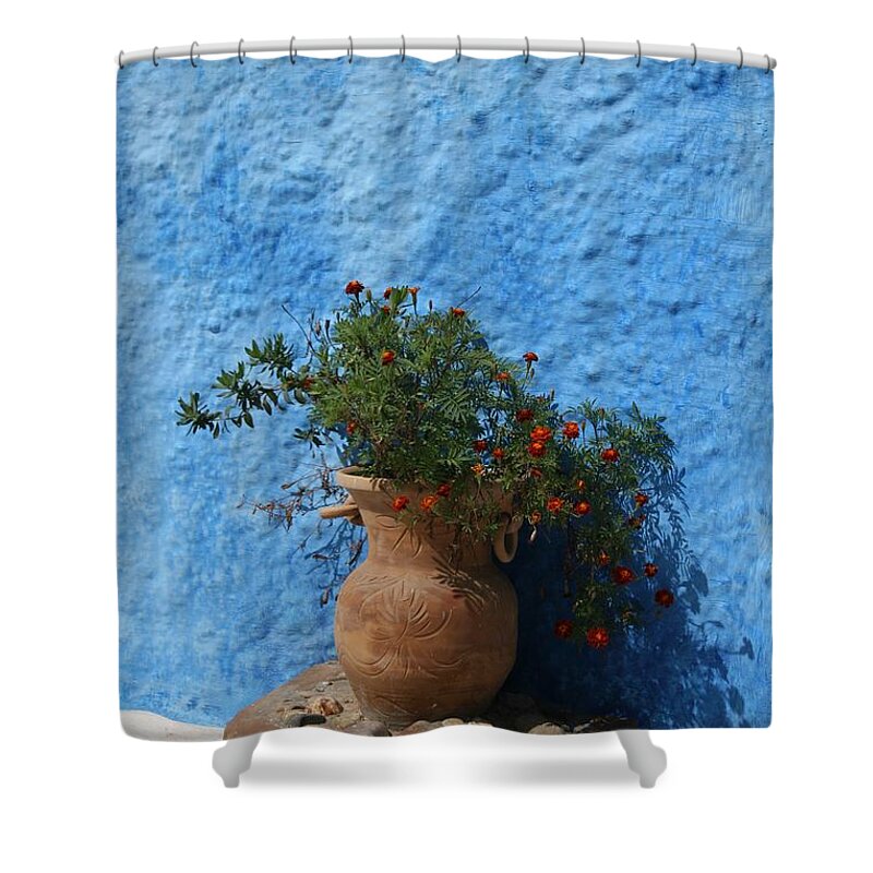 Rabat Shower Curtain featuring the photograph Stop and smell the flowers by Laurie Lago Rispoli