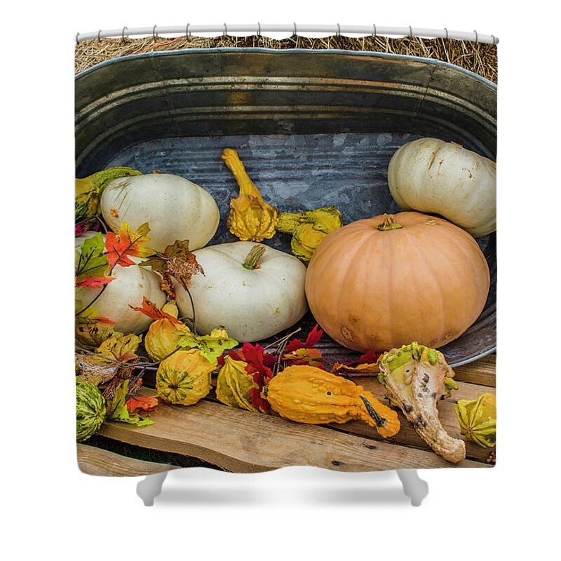 Seasonal Shower Curtain featuring the photograph Straight From The Farm by Robert Wilder Jr
