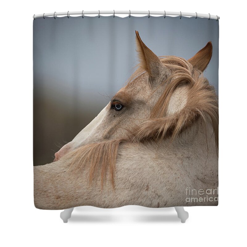 Yearling Shower Curtain featuring the photograph Strawberry by Shannon Hastings
