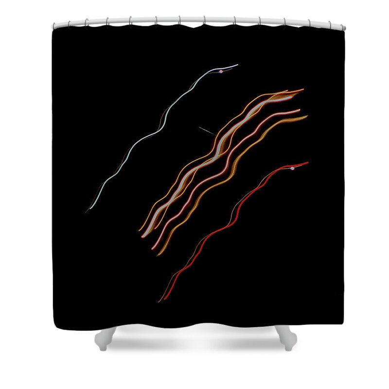 Light Shower Curtain featuring the photograph Streaks of Light - Departing Flight by Christopher Reed