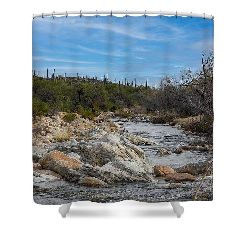 Stream In Catalina Mountains Shower Curtain featuring the digital art Stream in Catalina Mountains by Tammy Keyes