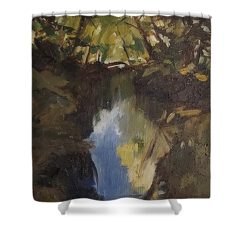 Stream Shower Curtain featuring the painting Stream by Sheila Romard