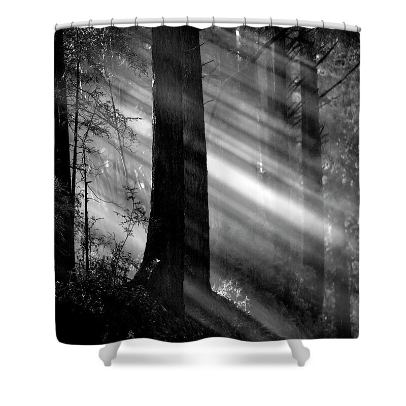 Streaming Sunlight Shower Curtain featuring the photograph Streaming sunlight by Donald Kinney