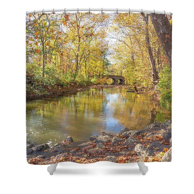 Autumn Shower Curtain featuring the photograph Struck Gold by Cathy Donohoue