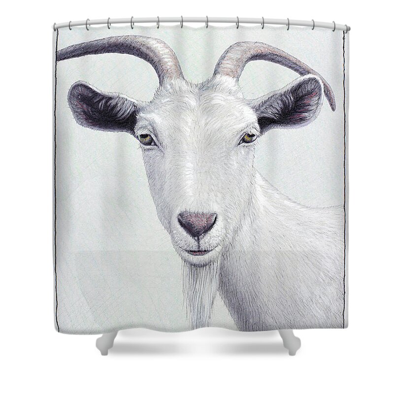 White Shower Curtain featuring the painting Study of a White Goat by James W Johnson