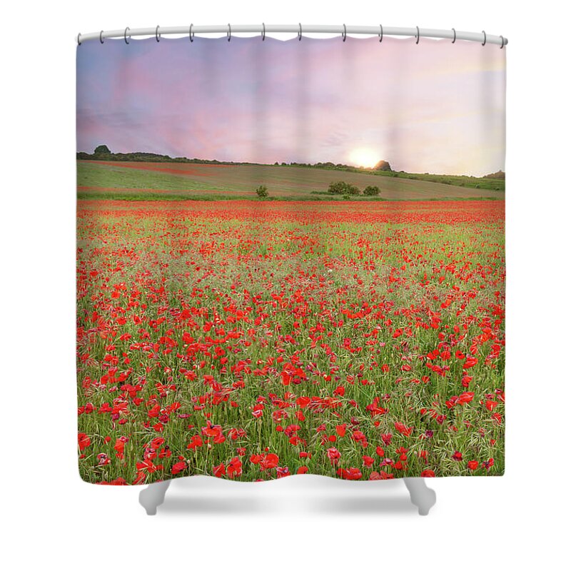 Norfolk Shower Curtain featuring the photograph Norfolk poppy fields at sunrise in England by Simon Bratt