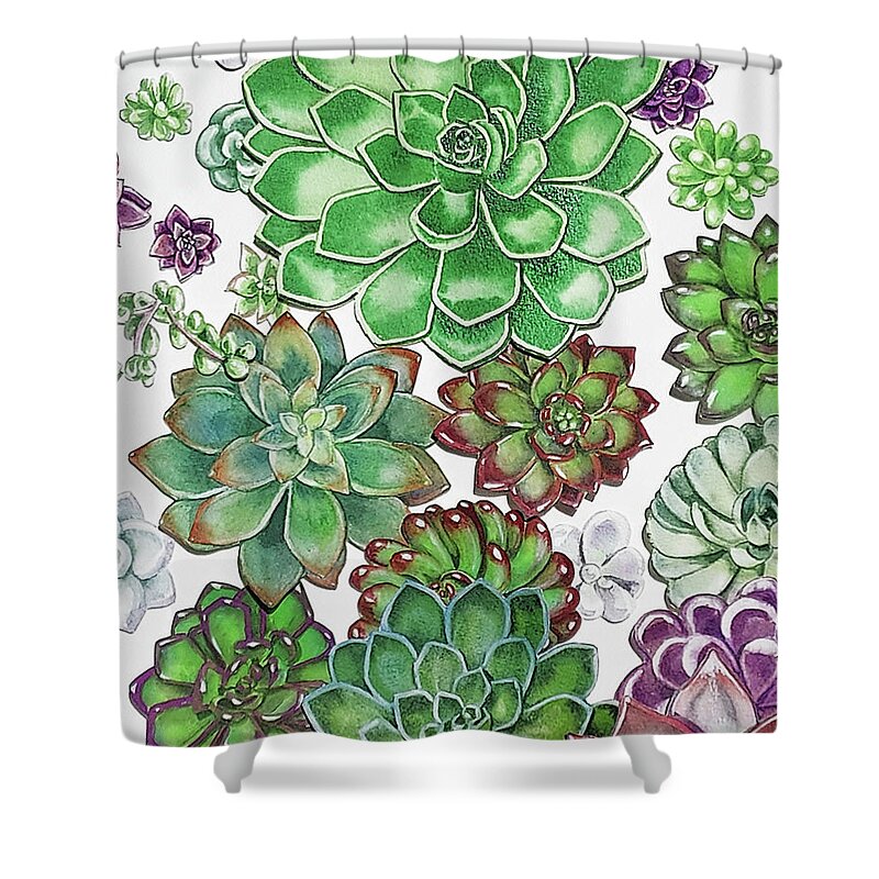 Succulent Shower Curtain featuring the painting Succulent Plants On White Wall Contemporary Garden Design IV by Irina Sztukowski