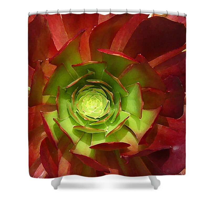 Succulent Shower Curtain featuring the photograph Succulent Square Close Up 2 by Amy Vangsgard
