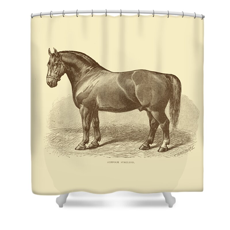 Draft Horse Digital Art Shower Curtains