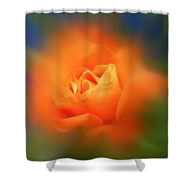 Rose Shower Curtain featuring the photograph Summer 2020 by Richard Cummings