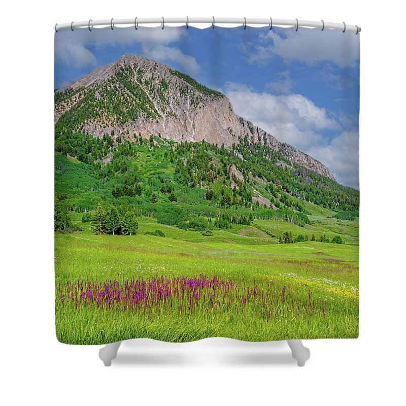 Crrested Butte Shower Curtain featuring the photograph Summer Days in Mount Crested Butte by Lynn Bauer
