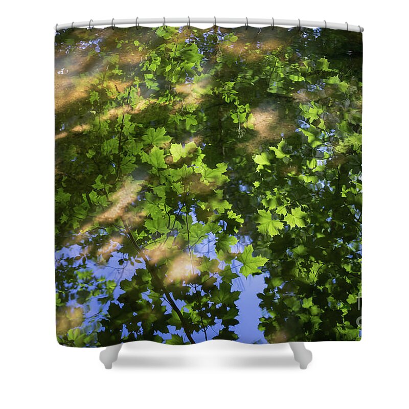 Reflection Shower Curtain featuring the photograph Summer dream and reflection of maple leaves by Adriana Mueller