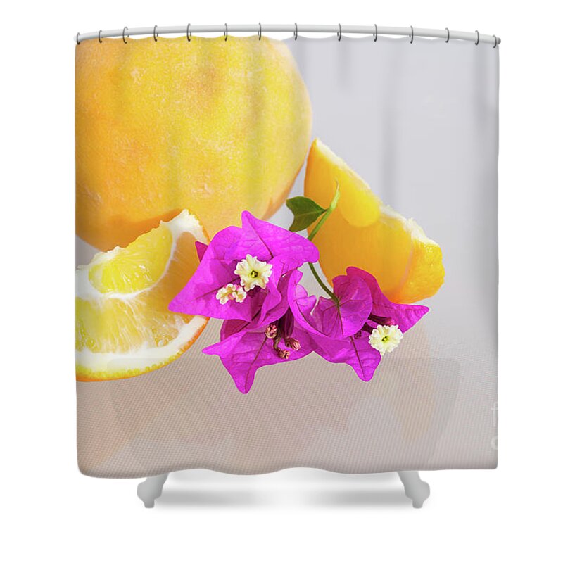 Peachy Shower Curtain featuring the photograph Summer dream. Peach, orange and pink flowers by Adriana Mueller