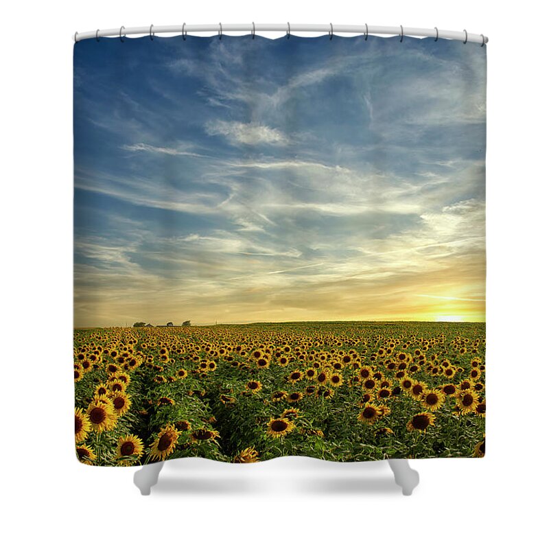 Field Shower Curtain featuring the photograph Summer Fields by Debby Richards