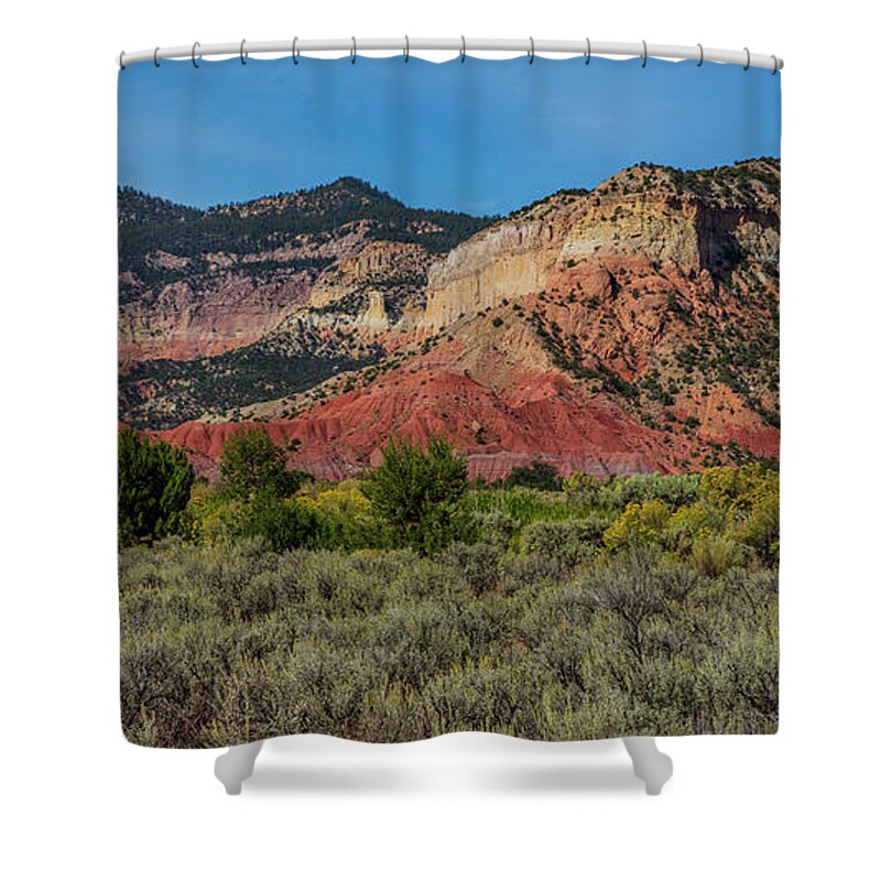 Landscape Shower Curtain featuring the photograph Summer Greens by Seth Betterly