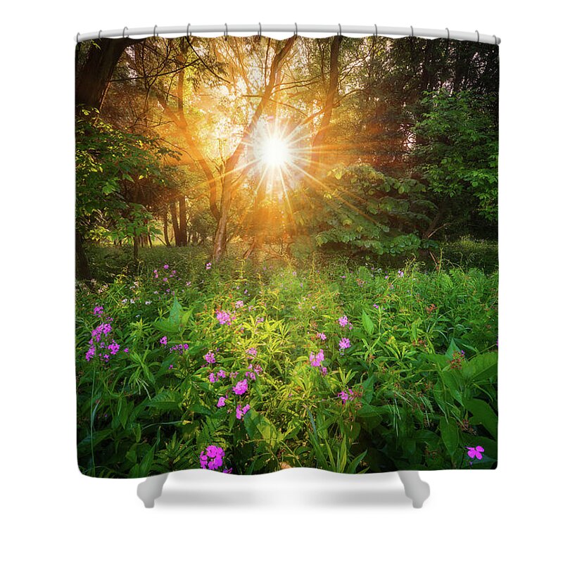Sunrise Shower Curtain featuring the photograph Summer Sunrise in Forest by Henry w Liu